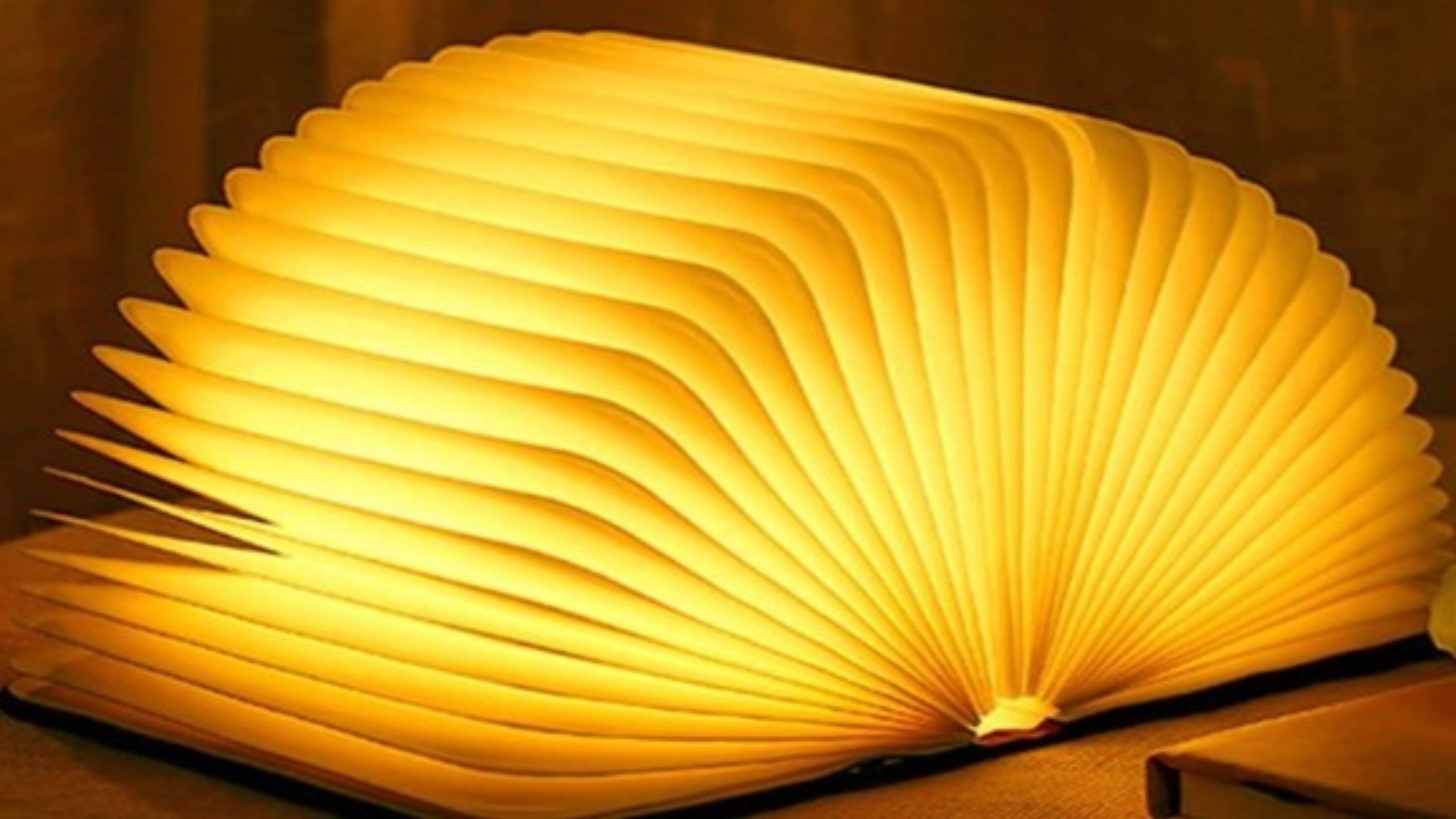 novelty book lamp