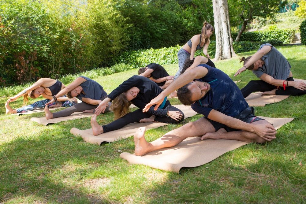 a group of individuals engaging in yoga exercises and stretching their bodies