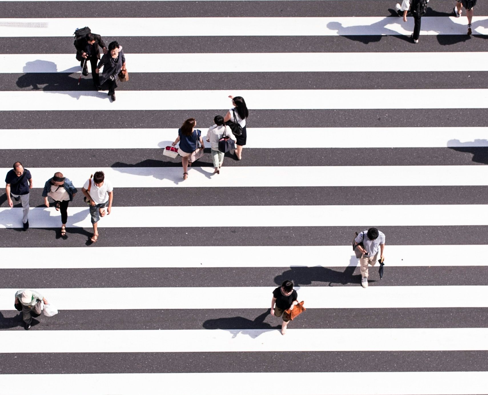 ryoji-iwata-n31JPLu8_Pw-unsplash.jpg