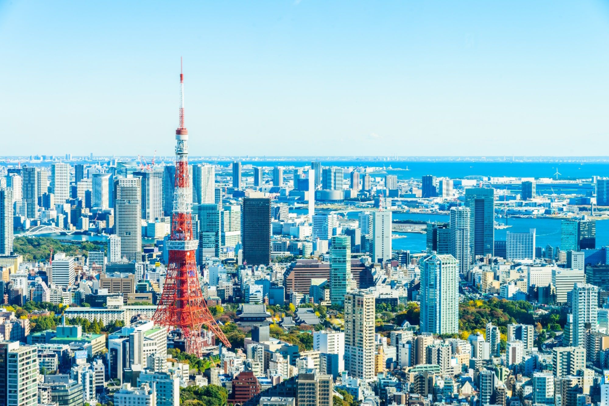 tokyo cityscape skyline with Tower Tokyo in sight